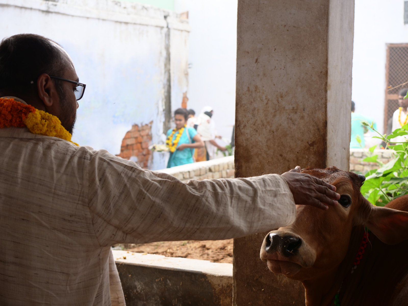  102 Gopashtami Radha kunda Govardhan 19.11.04